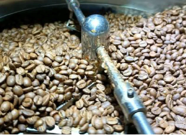 Actual Flores Bajawa coffee beans during the roasting process